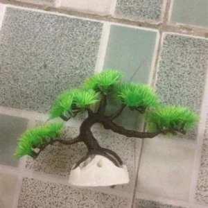 עץ ננסי 10 ס"מ