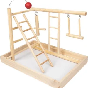 מגרש משחקים לתוכים