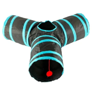 מנהרה Y לחתול