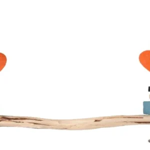 נדנדת עץ לציפור