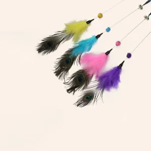 נוצה על מקל