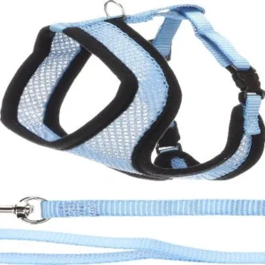 סט הולכה לחתול