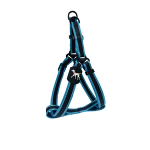 רתמה מחזירת אור