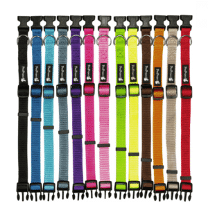 קולרים ורצועות לכלבים