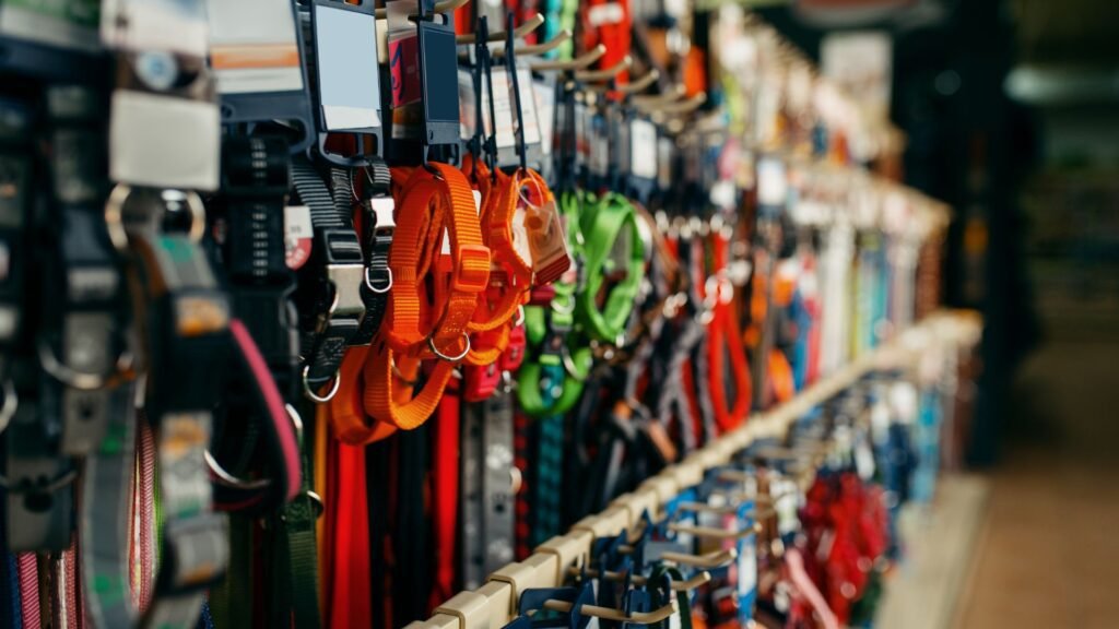 חנות חיות נס ציונה - משלוחים עד הבית ומחירים משתלמים