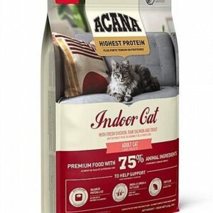 אקנה חתול אינדור